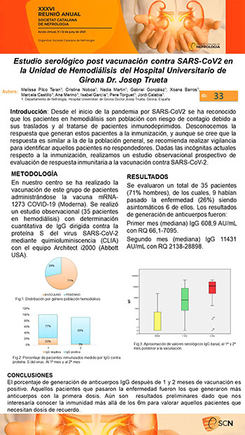 Póster 33
